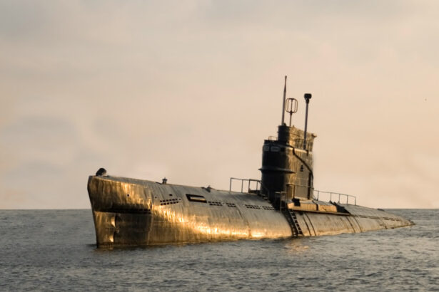 fortele submarine ruse in alerta maxima de lupta anuntul comandantului flotei 69bbdc3c5c146