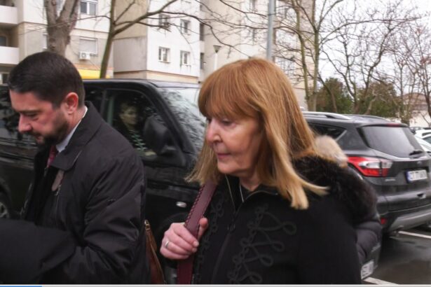 fostul ministru al justitiei monica macovei a cerut intreruperea obligatiei de a presta munca in folosul comunitatii termen azi 69b9285c04168