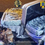 foto aproape 31 de kilograme de canabis descoperite la nadlac un italian a fost arestat preventiv 69c153ca68bcb