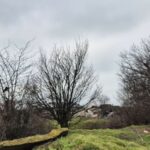 foto incredibil alesi locali din lumina cu sere si constructii ilegale pe un teren care nu le apartine e al comunei 69b9132e64f06