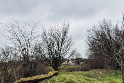 foto incredibil alesi locali din lumina cu sere si constructii ilegale pe un teren care nu le apartine e al comunei 69b9132e64f06