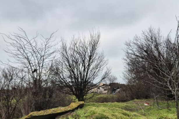 foto incredibil alesi locali din lumina cu sere si constructii ilegale pe un teren care nu le apartine e al comunei 69b9132e64f06