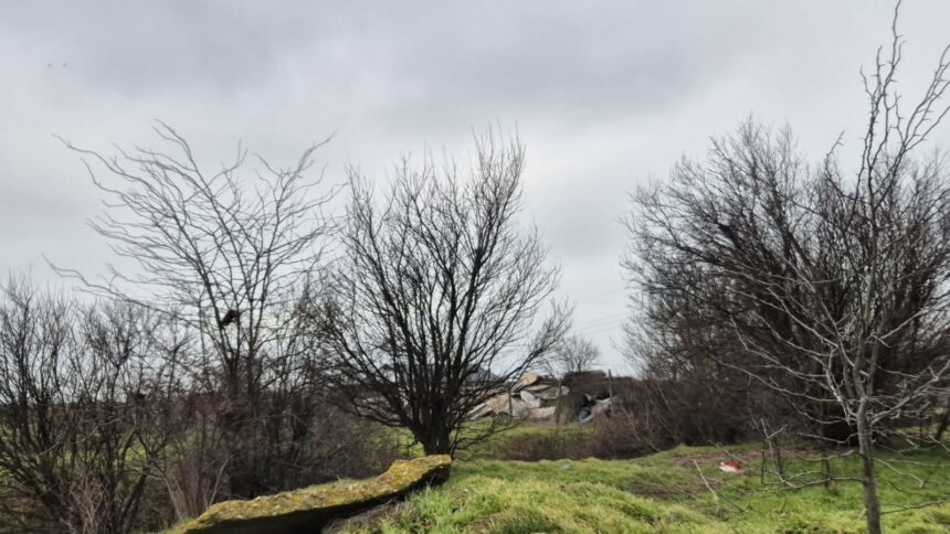 foto incredibil alesi locali din lumina cu sere si constructii ilegale pe un teren care nu le apartine e al comunei 69b9132e64f06