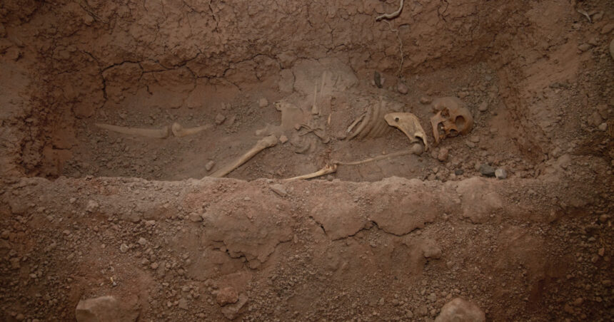 foto lacate la picioare si seceri la gat pentru a impiedica mortii sa iasa din morminte practici medievale descoperite int un stat european 69bf9576c4a93