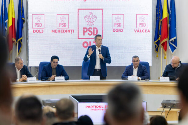 grindeanu spune ca are sustinerea filialelor psd din regiunea sud vest pentru iesirea de la guvernare nu putem fi prizonieri 69c6e764de70f