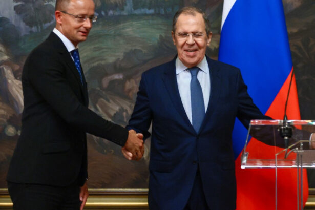 guvernul de la budapesta depune plangere pentru spionaj jurnalist acuzat ca ar fi interceptat convorbiri intre szijjarto si lavrov 69c5aac146b28