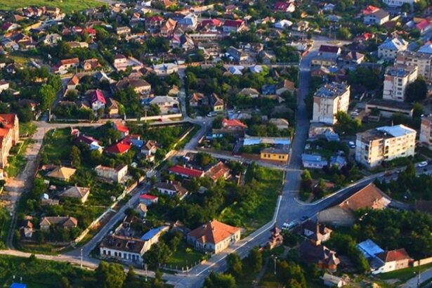 harsova licitatia pentru inchirierea unei pasuni de aproape 50 de hectare anulata de primarie 69abfadf680a8