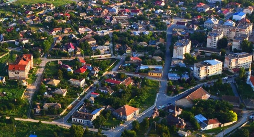 harsova licitatia pentru inchirierea unei pasuni de aproape 50 de hectare anulata de primarie 69abfadf680a8