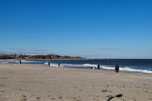 incepe delimitarea domeniului public in zona costiera capul midia vama veche 69c31cf587bc1