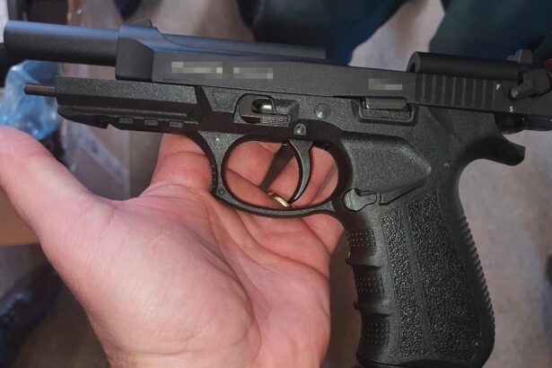 individul cu aere deinterlop care a tras cu arma in trafic la medgidia a fost condamnat definitiv 69bc86abb777c