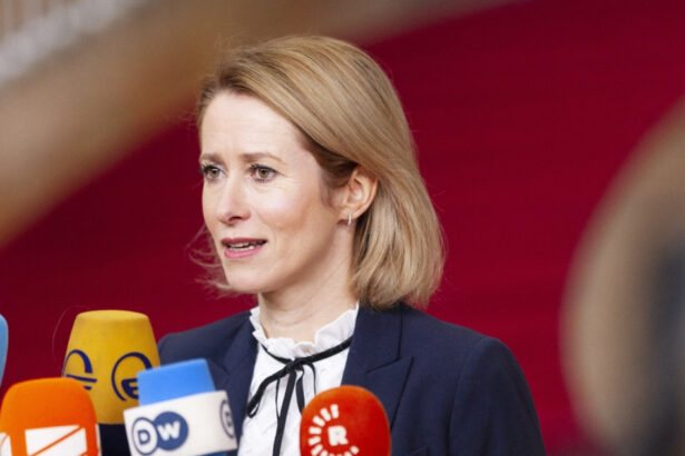 kaja kallas respinge apelul belgiei de normalizare a relatiilor cu moscova pentru energie ieftina nu i dam rusiei ce si doreste 69b99827691c1