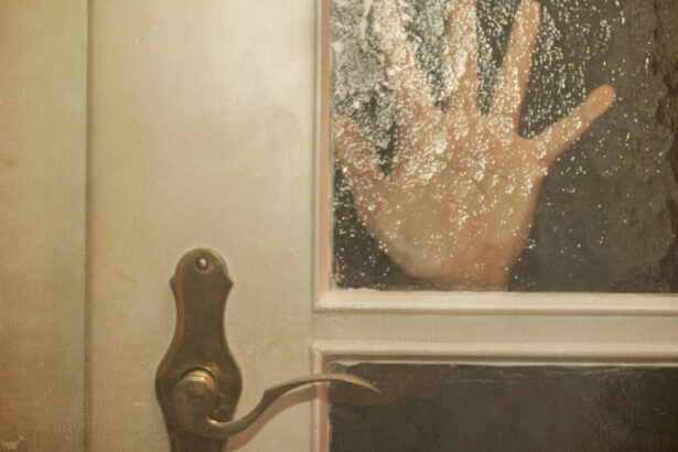 legea privind informarea asupra traficului de persoane promulgata mesaje obligatorii in hoteluri aeroporturi si agentii 69c41e02615ae