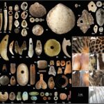 margelele de lut vechi de 15 000 de ani ar putea dezvalui originile agriculturii 69bebb8b02b12