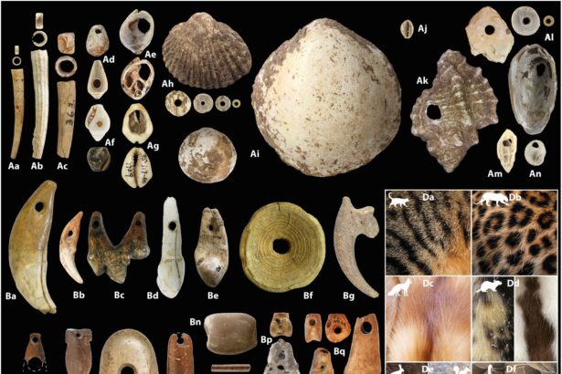 margelele de lut vechi de 15 000 de ani ar putea dezvalui originile agriculturii 69bebb8b02b12