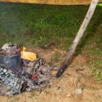 materialul minune folosit de neanderthalieni la orice inclusiv ca antibiotic 69bebb7f97acb