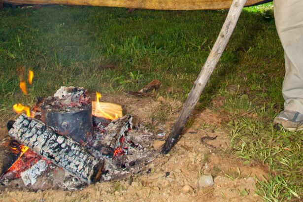 materialul minune folosit de neanderthalieni la orice inclusiv ca antibiotic 69bebb7f97acb