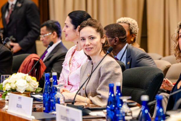 mirabela gradinaru partenera lui nicusor dan intalnire la washington cu conducerea american councils for international education 69c3944befb5a