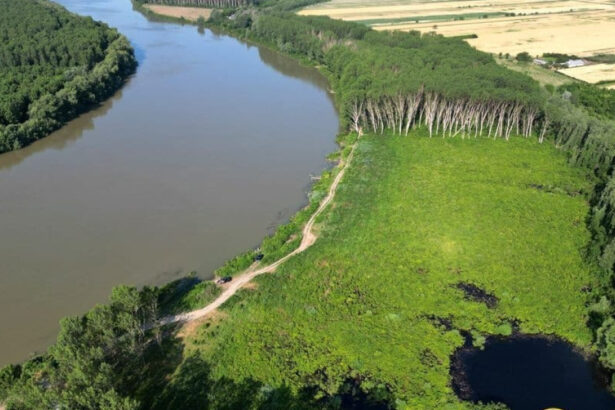 navigatia pe bratul macin al dunarii va fi inchisa exercitii cu munitie de razboi timp de doua zile 69c0f135e6055