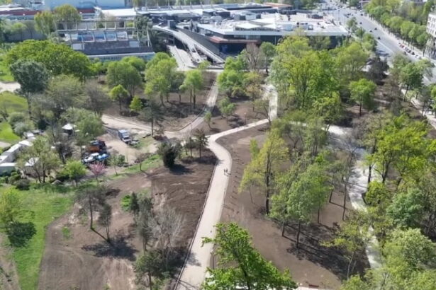 nici nu a inceput bine ca s a si blocat licitatia pentru reabilitarea si extinderea sistemului de irigatii din parcul tabacarie suspendata 69b9f0b6d564c