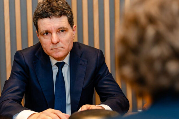 nicusor dan dupa discutii cu oana gheorghiu reforma companiilor de stat nu mai poate fi amanata 69c029349be74