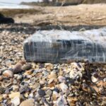 noi detalii din dosarul cocaina de pe plaja coordonata de sheik unul dintre cei mai mari traficanti din america de sud legaturi cu pensiuni din delta 69bb2978b7235