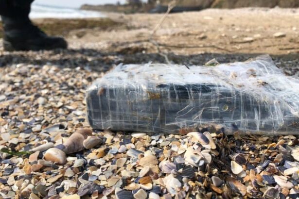 noi detalii din dosarul cocaina de pe plaja coordonata de sheik unul dintre cei mai mari traficanti din america de sud legaturi cu pensiuni din delta 69bb2978b7235