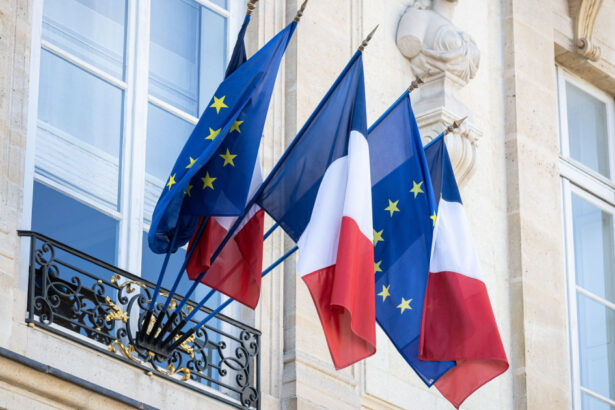 noii primari de extrema dreapta din franta au dat jos drapelul ue un ministru le spune ca gestul este o tradare 69cc223f94a12