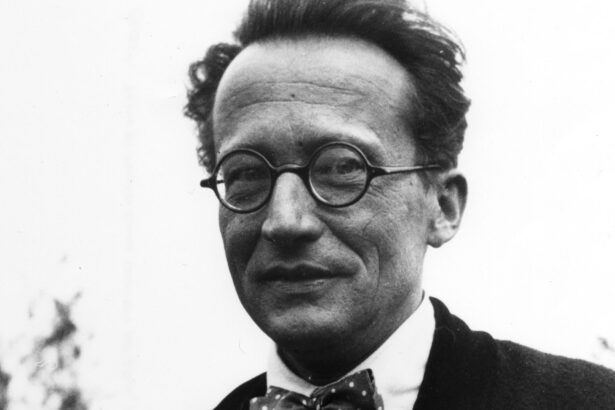 o teorie faimoasa a lui erwin schrodinger finalizata dupa mai bine de 100 de ani 69b975e763259