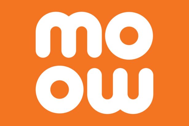 party momo club 69c24fc33fe7b