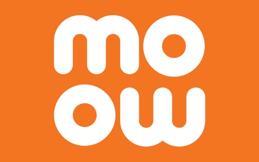 party momo club 69c24fc33fe7b