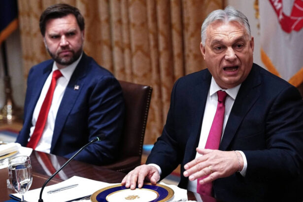 peter szijjarto confirma vizita lui jd vance in ungaria cand va avea loc este rezultatul relatiilor excelente 69bd8ca7df33d