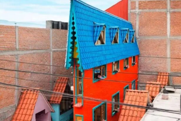 povestea casei de doar 63 de centimetri latime cum au incaput 9 camere in cea mai ingusta locuinta din lume 69cbc975b2609