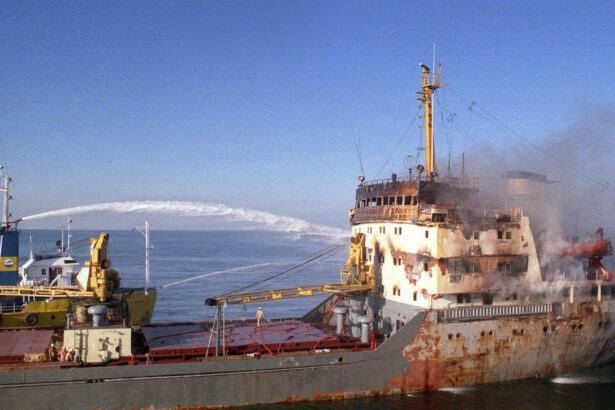 povestea navei romanesti fundulea atacata de iranieni in stramtoarea ormuz mi a spus au tras in noi si a tras si o injuratura 69be31e3d3018