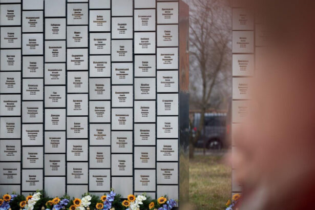 presedintele senatului vizita la kiev pentru comemorarea victimelor masacrului de la bucea 69cc052713e7d