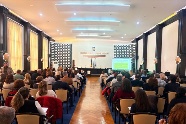 primar din judetul constanta nu am fost la prefectura la discutiile despre reducerea personalului din primarii e forma mea de protest 69c290a0e0dc4