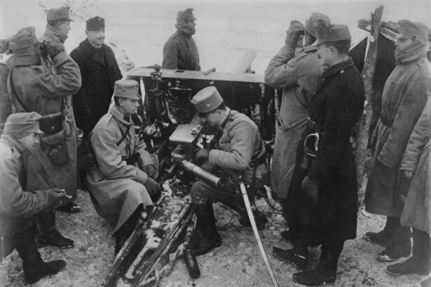 promisiuni presiuni si planuri secrete trebuie sa castigam timp strategia austro ungariei fata de romania 69c03015d9e7a