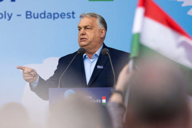 sa ocupam bruxelles ul viktor orban spune ca vrea o alianta de natiuni suverane inaintea alegerilor din ungaria 69c249b87b8ba