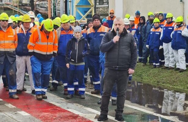 salariatii damen shipyards mangalia cer aprobarea rapida a reorganizarii societatii falimentul nu este o solutie 69c28f860407b