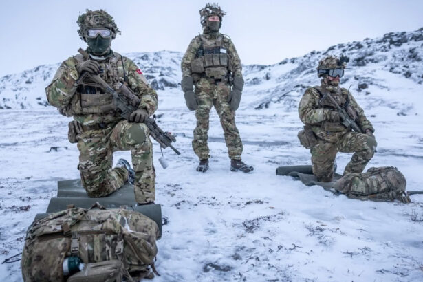 sange si explozibil cum s a pregatit danemarca pentru un atac american asupra groenlandei 69bc4cbb8c9d2