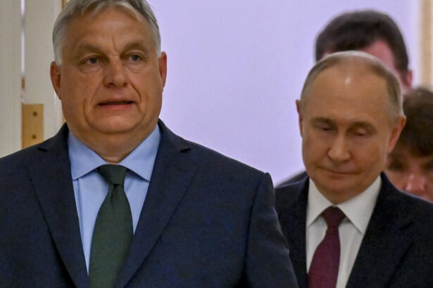 serviciile secrete ruse vor sa insceneze o tentativa de asasinat a lui viktor orban ce este operatiunea gamechanger wt 69bea96cb5917