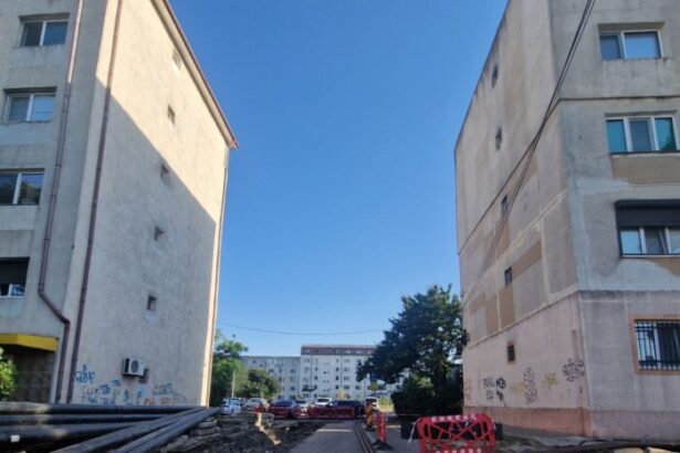 societatea termoficare constanta srl cauta firma pentru refacerea strazilor afectate de lucrarile la retea contractul ajunge la 735 000 de lei 69ad14096e382