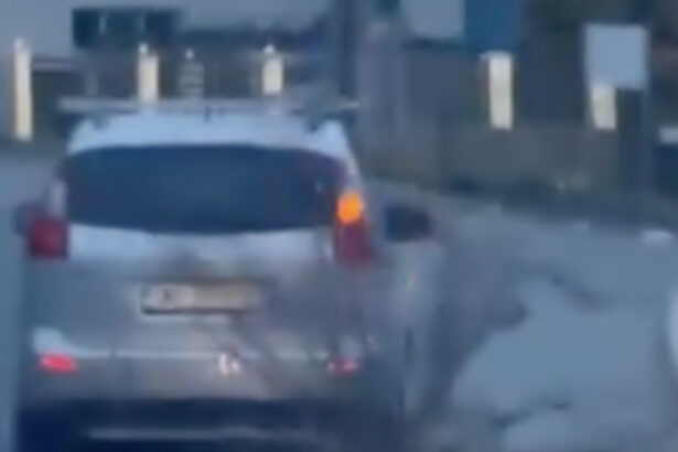 sofer din bistrita surprins in timp ce tara un trunchi de copac de 16 metri pe carosabil 69c79a4f518c7