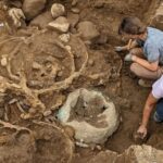 tezaure uriase din epoca fierului descoperite in anglia ar putea proveni de la inmormantarea unei puternice regine celte 69c804336dc07