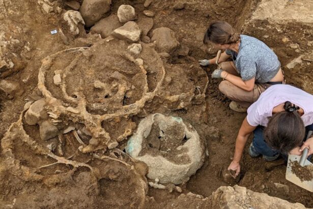 tezaure uriase din epoca fierului descoperite in anglia ar putea proveni de la inmormantarea unei puternice regine celte 69c804336dc07