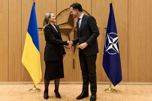 ucraina a fost scutul europei merita sa fie sabia nato kievul cere integrare deplina in alianta 69c96e0a35137