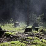 un teritoriu scufundat din europa era locuibil in era glaciara cercetatorii au gasit dovezi de viata 69c36dd5b5485