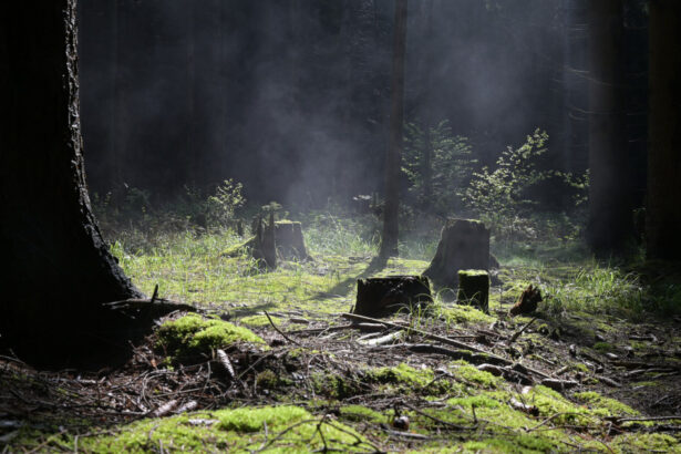 un teritoriu scufundat din europa era locuibil in era glaciara cercetatorii au gasit dovezi de viata 69c36dd5b5485