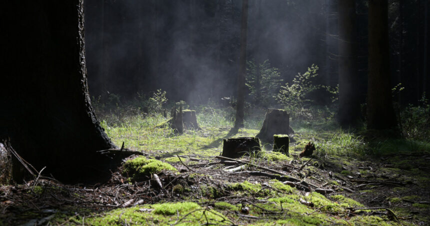 un teritoriu scufundat din europa era locuibil in era glaciara cercetatorii au gasit dovezi de viata 69c36dd5b5485