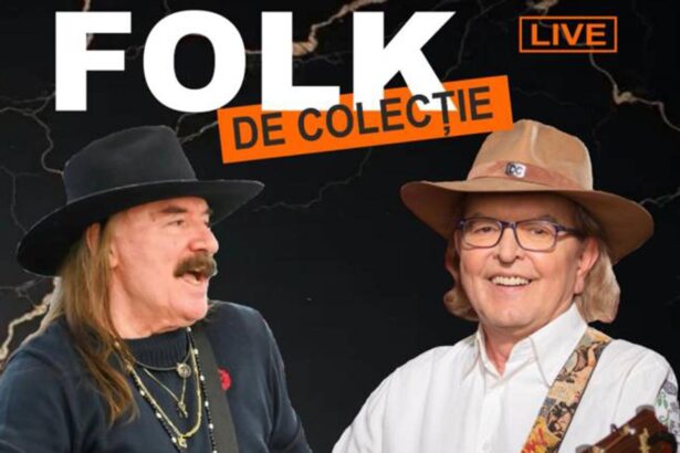 vasile seicaru ducu bertzi centrul multifunctional educativ pentru tineret jean constantin constanta 69b914dfd1303