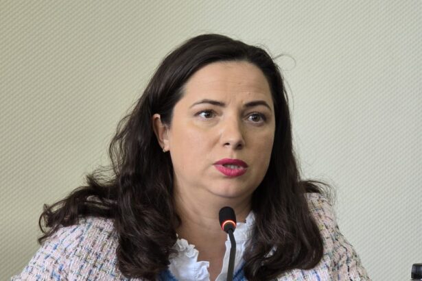 video consilierii judeteni au votat pentru reinfiintarea functiei de administrator public al judetului ionela costache propunerea lui florin mitroi 69ca28c5cd6ca